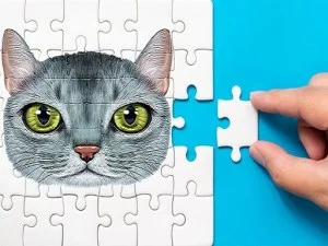 Provocarea puzzle -ului abisinian